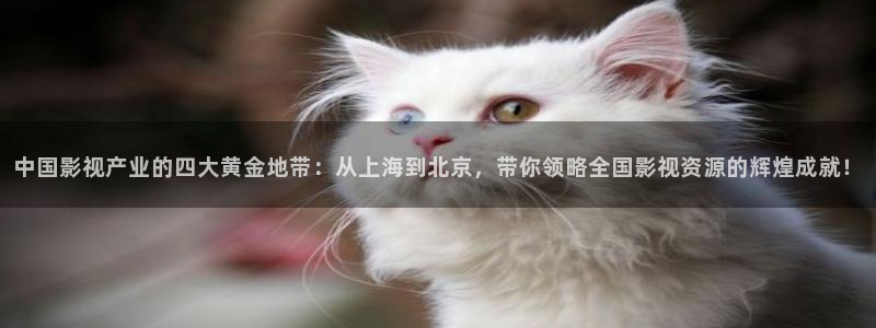 人人草视频黄：中国影视产业的四大黄金地带：从上海到北京，带你领略全国影视资源的辉煌成就！