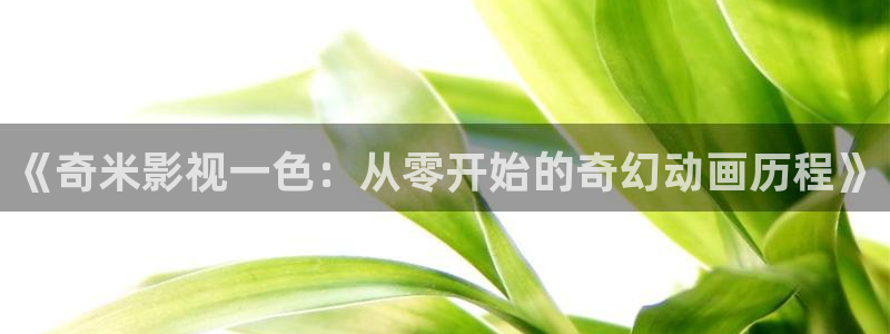 人人影院视频：《奇米影视一色：从零开始的奇幻动画历程》