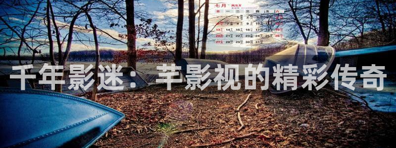 久久精品人人爽人人片：千年影迷：芊影视的精彩传奇