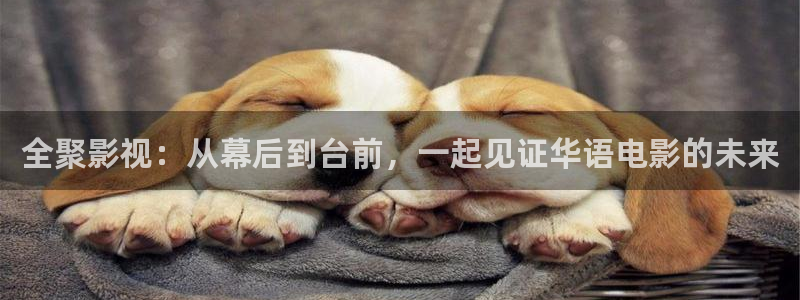 人人看影视高清完整在线观看：全聚影视：从幕后到台前，一起见证华语电影的未来