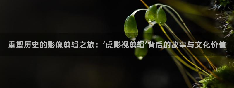 超碰人人在：重塑历史的影像剪辑之旅：‘虎影视剪辑’背后的故事与文化价值