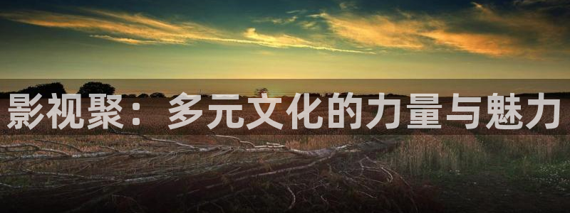 人人爱看电影网：影视聚：多元文化的力量与魅力