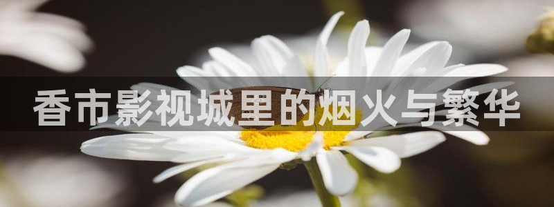 久久人人妻人人做人人爽看视频：香市影视城里的烟火与繁华