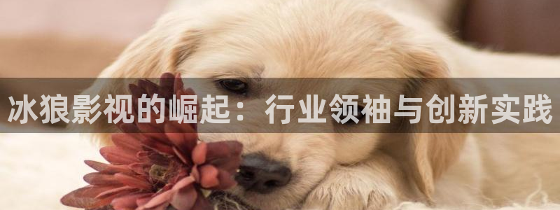 超碰97人人搞：冰狼影视的崛起：行业领袖与创新实践
